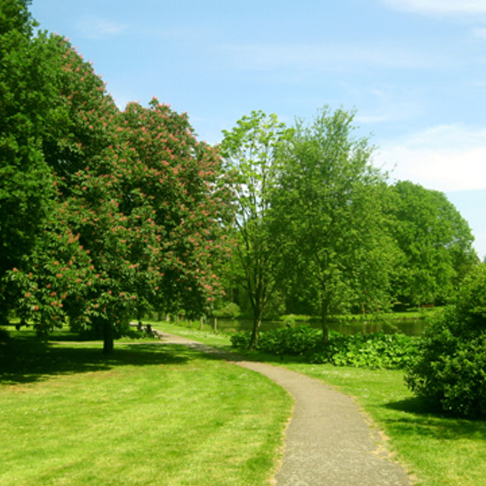 thork-service-manutencao-areas-verdes-1